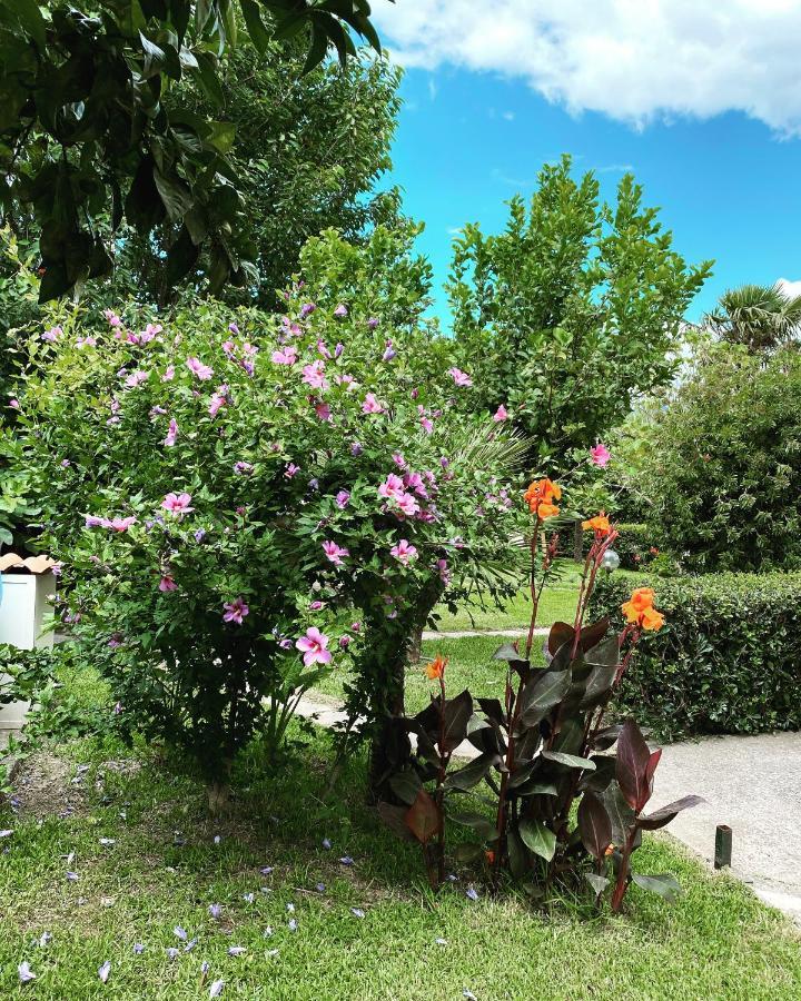 B&B Villa Dei Fiori SantʼEufemia Lamezia Zewnętrze zdjęcie